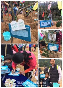 碧桂園植樹節 佩悅傳媒以專業公關策劃，賦能綠色品牌行動